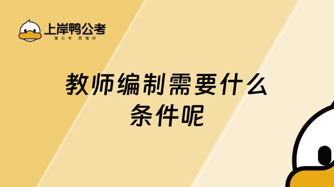 教师编制需要什么条件呢