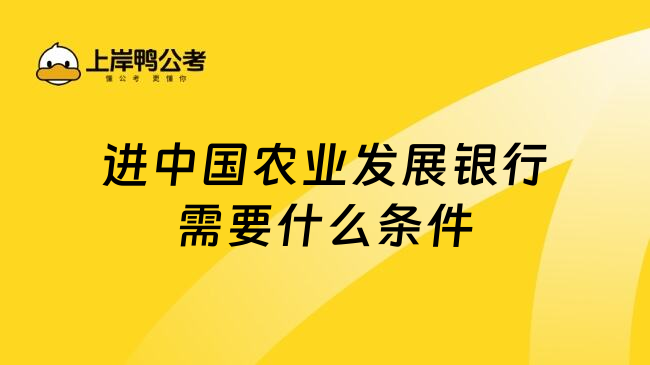 进中国农业发展银行需要什么条件