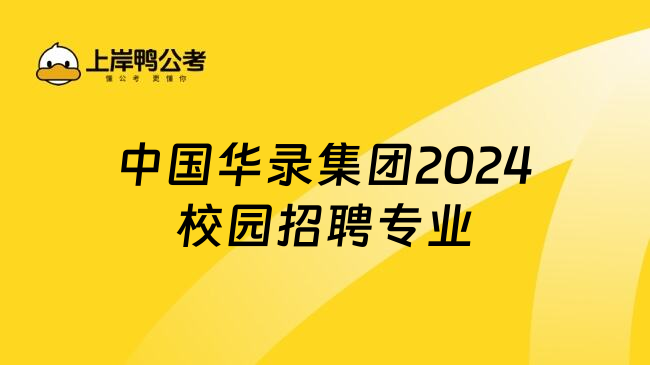 中国华录集团2024校园招聘专业