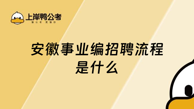 安徽事业编招聘流程是什么