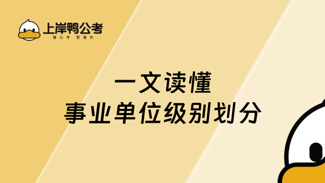 一文读懂事业单位级别划分