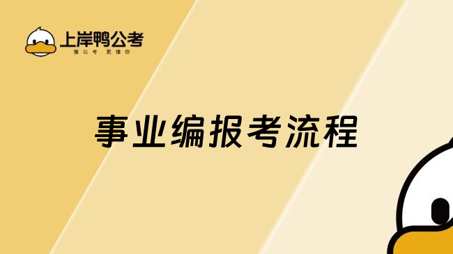 事业编报考流程