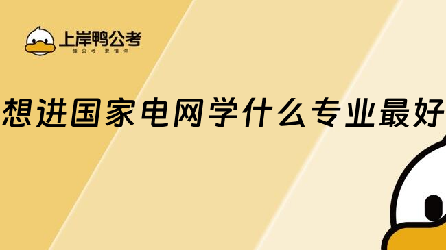 想进国家电网学什么专业最好