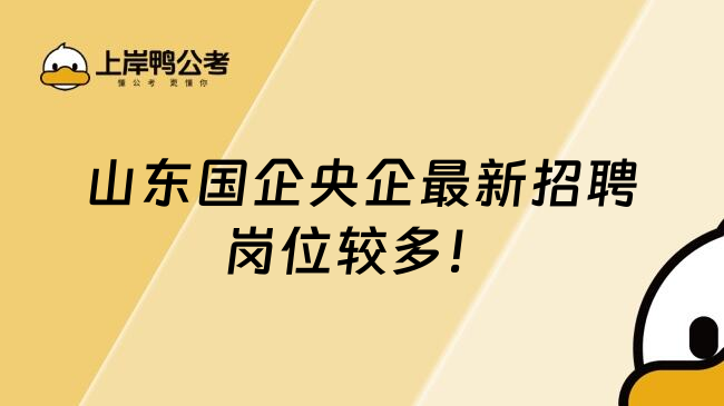 山东国企央企最新招聘岗位较多！