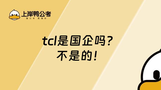 tcl是国企吗？不是的！