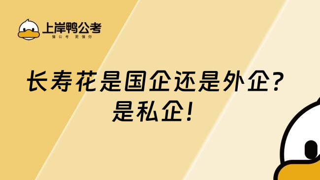 长寿花是国企还是外企？是私企！