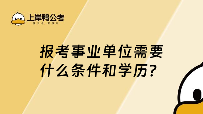 报考事业单位需要什么条件和学历？