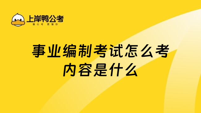 事业编制考试怎么考内容是什么