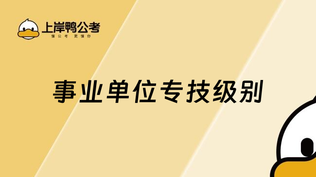 事业单位专技级别