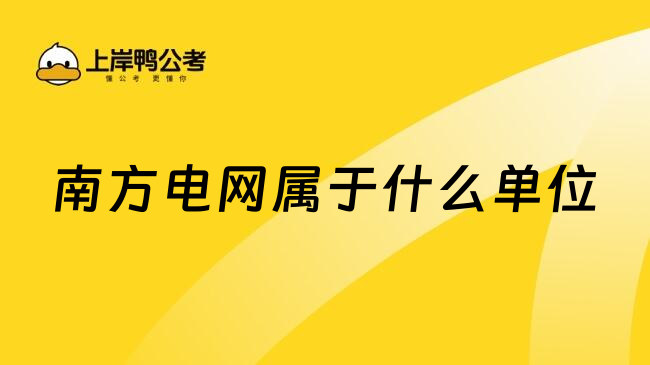 南方电网属于什么单位