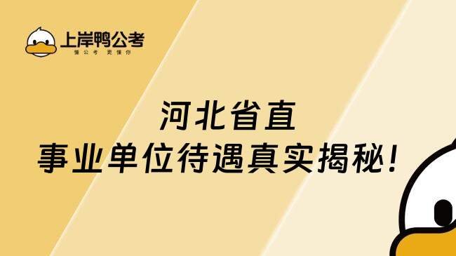 河北省直事业单位待遇真实揭秘！