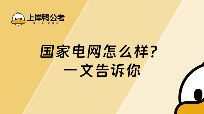 国家电网怎么样？一文告诉你