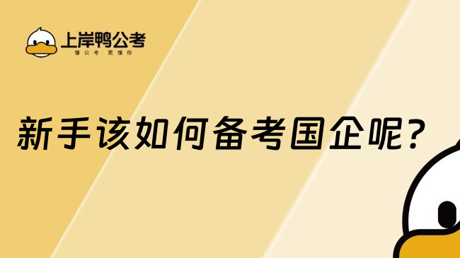 新手该如何备考国企呢？