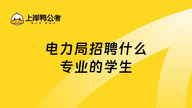 电力局招聘什么专业的学生