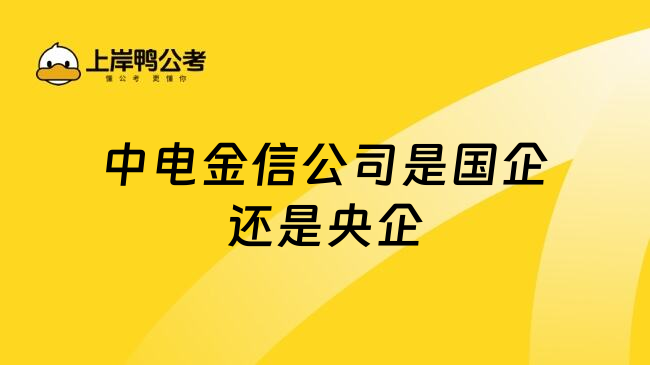 中电金信公司是国企还是央企