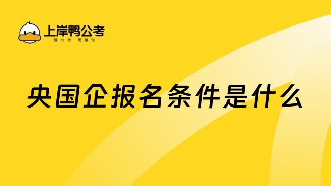 央国企报名条件是什么