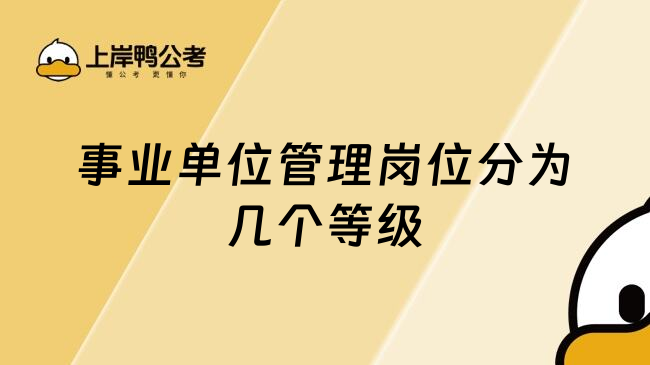 事业单位管理岗位分为几个等级