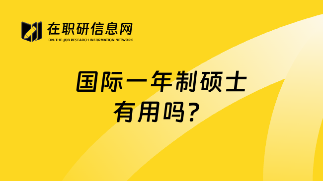 国际一年制硕士有用吗？