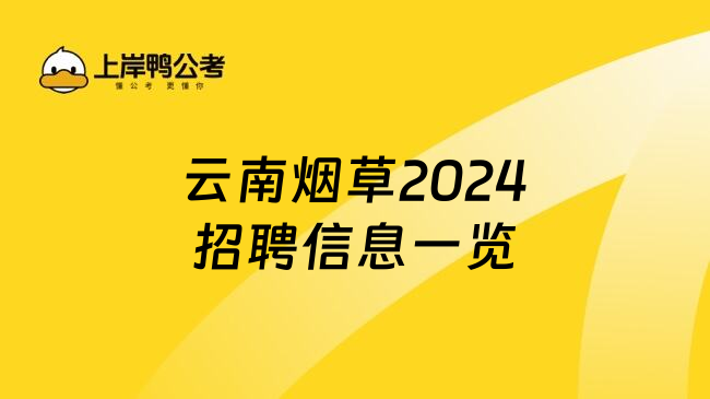 云南烟草2024招聘信息一览