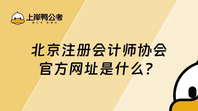 北京注册会计师协会官方网址是什么？