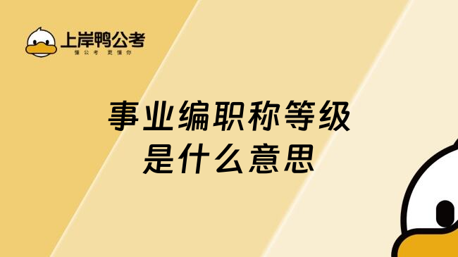 事业编职称等级是什么意思