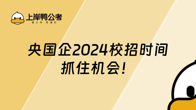 央国企2024校招时间抓住机会！