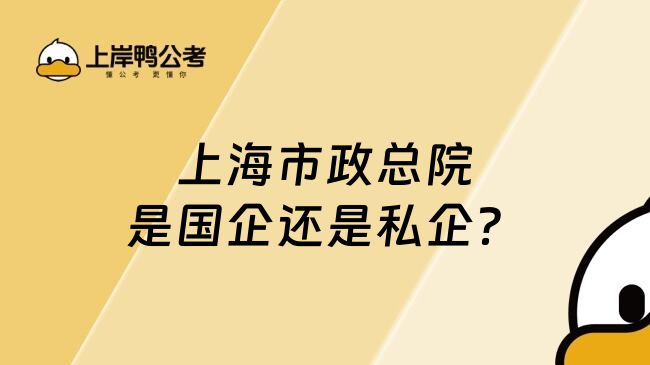 上海市政总院是国企还是私企？