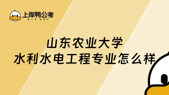 山东农业大学水利水电工程专业怎么样