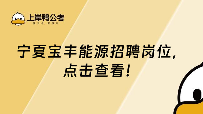 宁夏宝丰能源招聘岗位，点击查看！