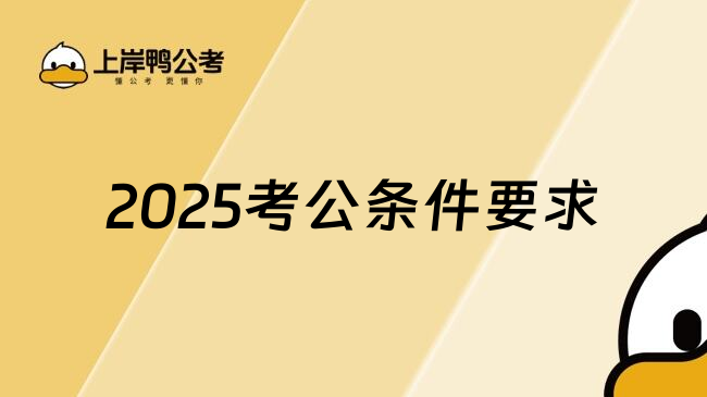 2025考公条件要求