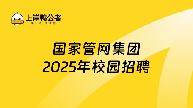 国家管网集团2025年校园招聘