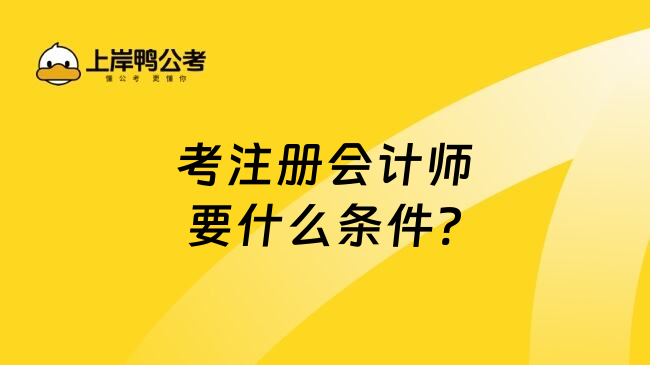 考注册会计师要什么条件?