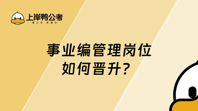 事业编管理岗位如何晋升？