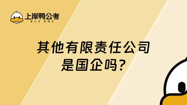 其他有限责任公司是国企吗?