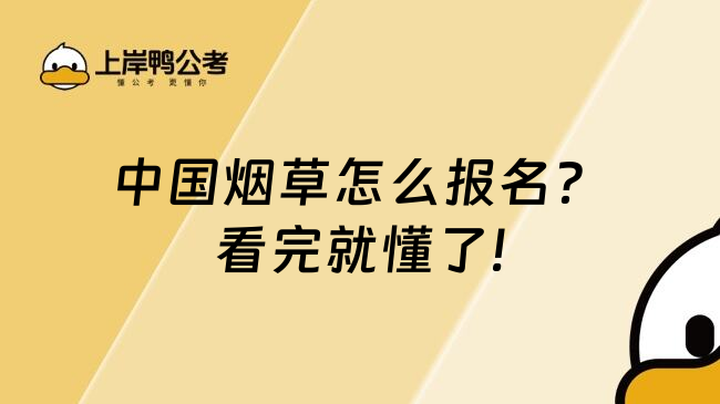 中国烟草怎么报名？看完就懂了!