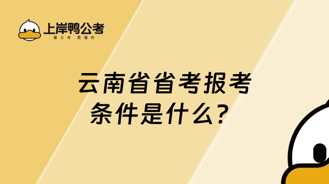 云南省省考报考条件是什么？