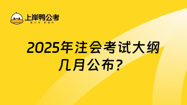 2025年注会考试大纲几月公布？