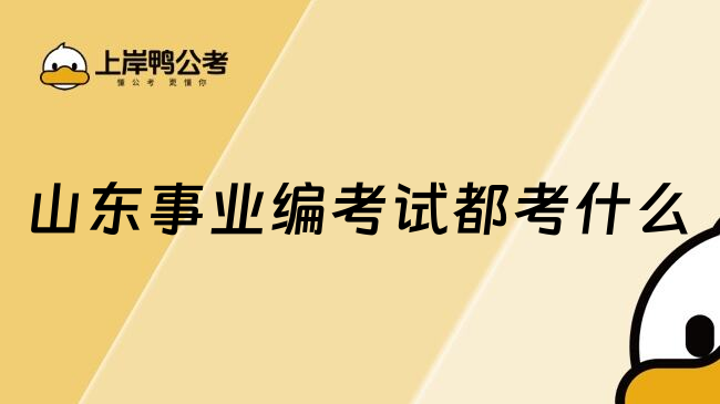 山东事业编考试都考什么