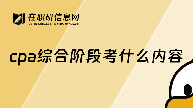 cpa综合阶段考什么内容