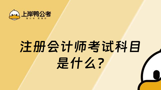 注册会计师考试科目是什么?