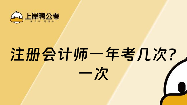 注册会计师一年考几次?一次