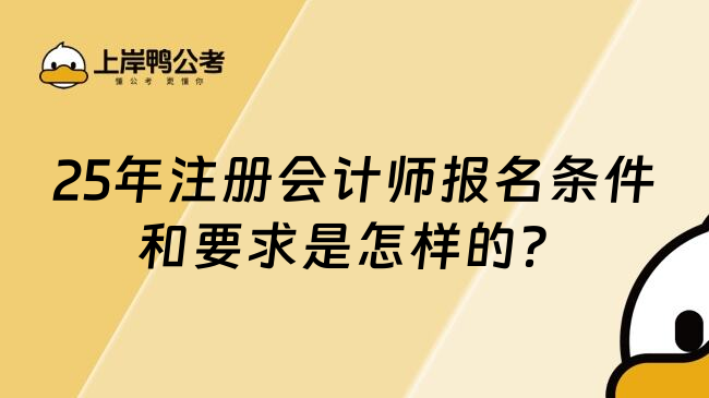 25年注册会计师报名条件和要求是怎样的？