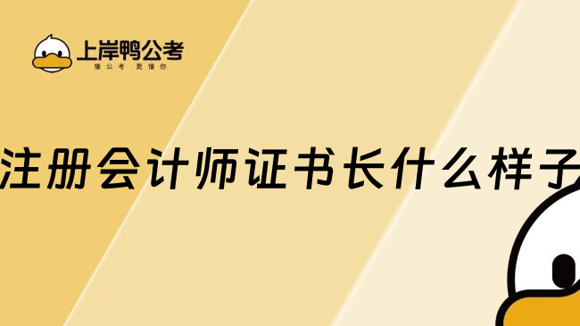 注册会计师证书长什么样子