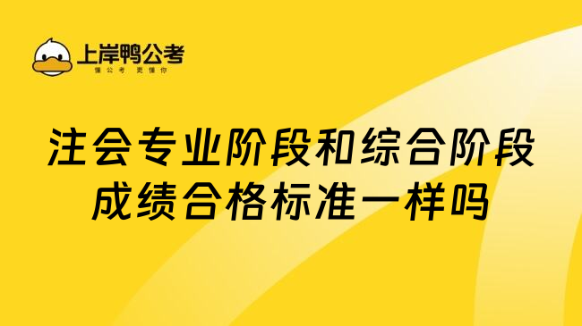 注会专业阶段和综合阶段成绩合格标准一样吗