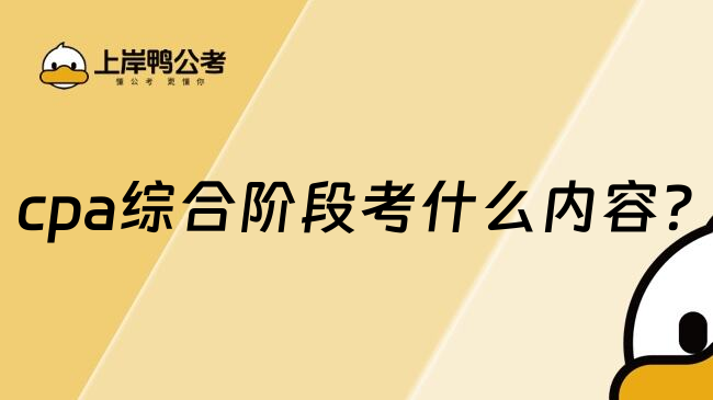 cpa综合阶段考什么内容?