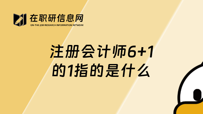 注册会计师6+1的1指的是什么