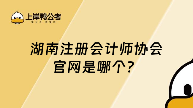 湖南注册会计师协会官网是哪个？