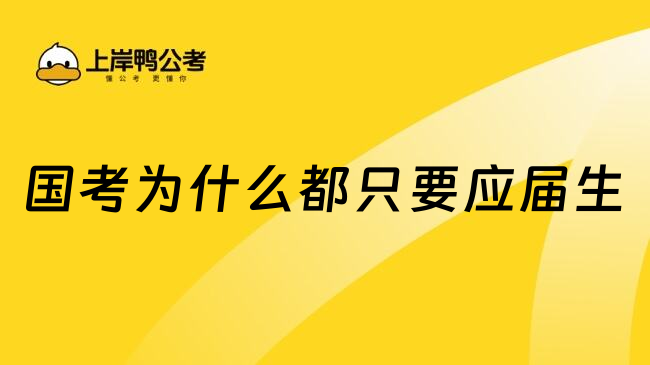 国考为什么都只要应届生