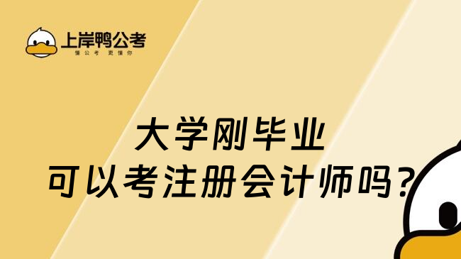 大学刚毕业可以考注册会计师吗?