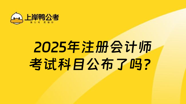 2025年注册会计师考试科目公布了吗？